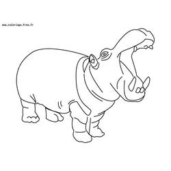 Coloring page: Hippopotamus (Animals) #8663 - Free Printable Coloring Pages