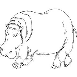 Coloring page: Hippopotamus (Animals) #8665 - Free Printable Coloring Pages