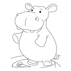Coloring page: Hippopotamus (Animals) #8681 - Free Printable Coloring Pages