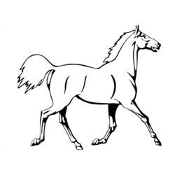 Coloring page: Horse (Animals) #2182 - Free Printable Coloring Pages