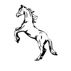 Coloring page: Horse (Animals) #2190 - Free Printable Coloring Pages