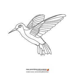 Coloring page: Humming-bird (Animals) #3797 - Free Printable Coloring Pages
