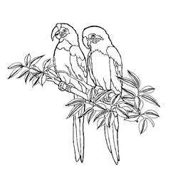 Coloring page: Humming-bird (Animals) #3800 - Free Printable Coloring Pages