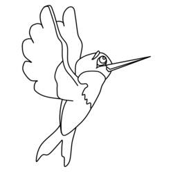 Coloring page: Humming-bird (Animals) #3810 - Free Printable Coloring Pages
