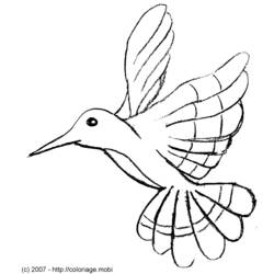 Coloring page: Humming-bird (Animals) #3818 - Free Printable Coloring Pages