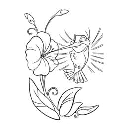 Coloring page: Humming-bird (Animals) #3866 - Free Printable Coloring Pages