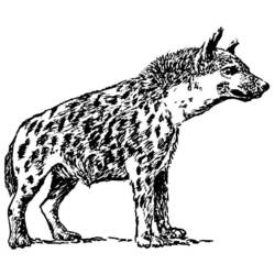 Coloring page: Hyena (Animals) #19637 - Free Printable Coloring Pages