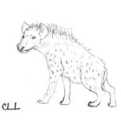 Coloring page: Hyena (Animals) #19665 - Free Printable Coloring Pages