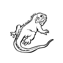 Coloring page: Iguana (Animals) #8910 - Free Printable Coloring Pages