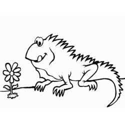 Coloring page: Iguana (Animals) #8911 - Free Printable Coloring Pages