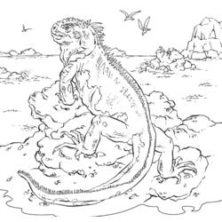 Coloring page: Iguana (Animals) #8913 - Free Printable Coloring Pages
