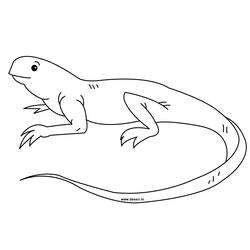 Coloring page: Iguana (Animals) #8917 - Free Printable Coloring Pages