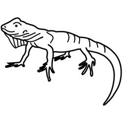Coloring page: Iguana (Animals) #8944 - Free Printable Coloring Pages