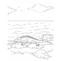 Coloring page: Iguana (Animals) #8949 - Free Printable Coloring Pages