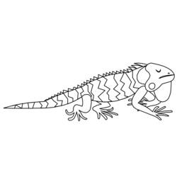 Coloring page: Iguana (Animals) #8950 - Free Printable Coloring Pages