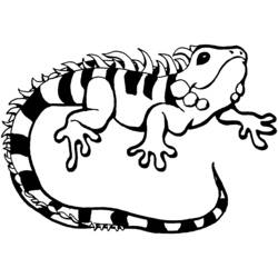 Coloring page: Iguana (Animals) #8959 - Free Printable Coloring Pages