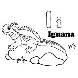 Coloring pages: Iguana - Free Printable Coloring Pages