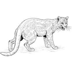 Coloring page: Jaguar (Animals) #9014 - Free Printable Coloring Pages