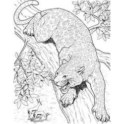 Coloring page: Jaguar (Animals) #9038 - Free Printable Coloring Pages