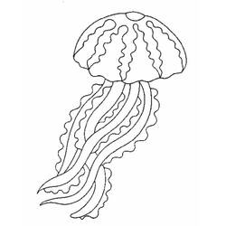 Coloring page: Jellyfish (Animals) #20380 - Free Printable Coloring Pages