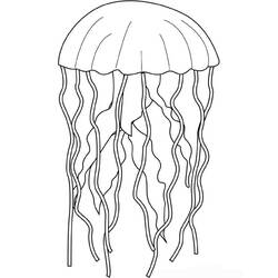 Coloring page: Jellyfish (Animals) #20383 - Free Printable Coloring Pages