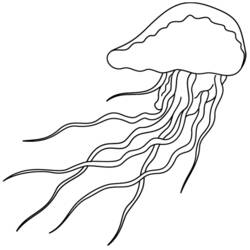 Coloring page: Jellyfish (Animals) #20406 - Free Printable Coloring Pages