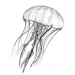 Coloring page: Jellyfish (Animals) #20408 - Free Printable Coloring Pages