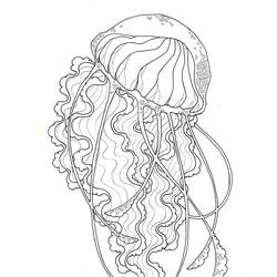 Coloring page: Jellyfish (Animals) #20463 - Free Printable Coloring Pages