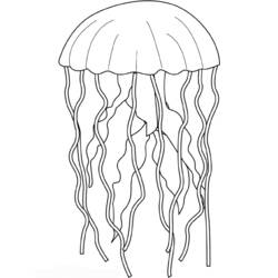 Coloring page: Jellyfish (Animals) #20483 - Free Printable Coloring Pages