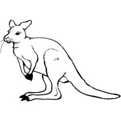 Coloring page: Kangaroo (Animals) #9108 - Free Printable Coloring Pages