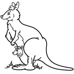 Coloring page: Kangaroo (Animals) #9115 - Free Printable Coloring Pages
