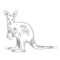 Coloring page: Kangaroo (Animals) #9139 - Free Printable Coloring Pages