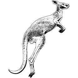 Coloring page: Kangaroo (Animals) #9204 - Free Printable Coloring Pages