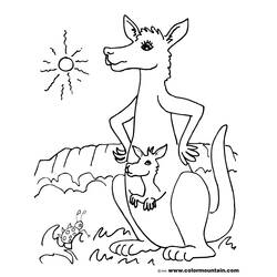 Coloring page: Kangaroo (Animals) #9282 - Free Printable Coloring Pages