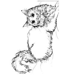 Coloring page: Kitten (Animals) #18047 - Free Printable Coloring Pages