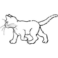 Coloring page: Kitten (Animals) #18053 - Free Printable Coloring Pages