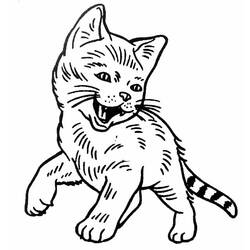 Coloring page: Kitten (Animals) #18063 - Free Printable Coloring Pages