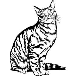 Coloring page: Kitten (Animals) #18148 - Free Printable Coloring Pages