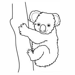Coloring page: Koala (Animals) #9300 - Free Printable Coloring Pages