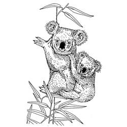 Coloring page: Koala (Animals) #9327 - Free Printable Coloring Pages