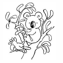 Coloring page: Koala (Animals) #9328 - Free Printable Coloring Pages