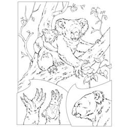 Coloring page: Koala (Animals) #9339 - Free Printable Coloring Pages