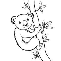 Coloring page: Koala (Animals) #9398 - Free Printable Coloring Pages