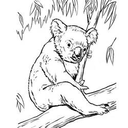 Coloring page: Koala (Animals) #9405 - Free Printable Coloring Pages