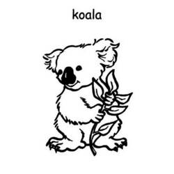 Coloring page: Koala (Animals) #9420 - Free Printable Coloring Pages