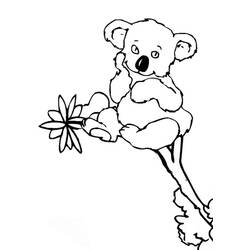 Coloring page: Koala (Animals) #9431 - Free Printable Coloring Pages
