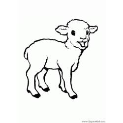 Coloring page: Lamb (Animals) #175 - Free Printable Coloring Pages