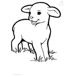 Coloring page: Lamb (Animals) #178 - Free Printable Coloring Pages