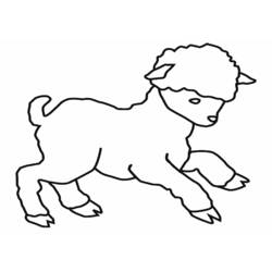 Coloring page: Lamb (Animals) #182 - Free Printable Coloring Pages