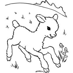 Coloring page: Lamb (Animals) #198 - Free Printable Coloring Pages